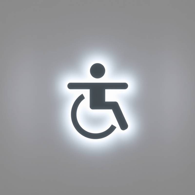 Pictogram voor toegankelijkheid, een gestileerd figuur met uitgestrekte armen en benen.